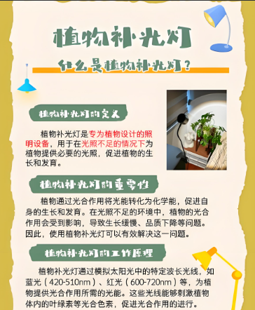 植物灯管的作?png